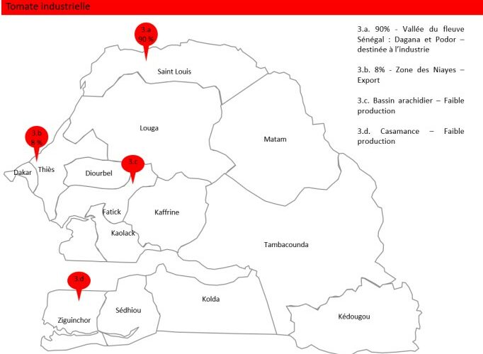 Marché de la Tomate