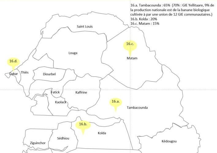 Marché de la Banane