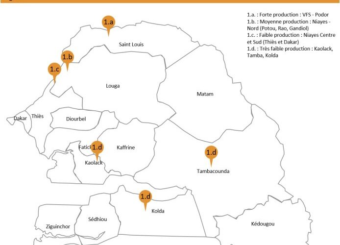 Marché de l’OIGNON