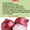 Vente Oignon – 300 F CFA / KG