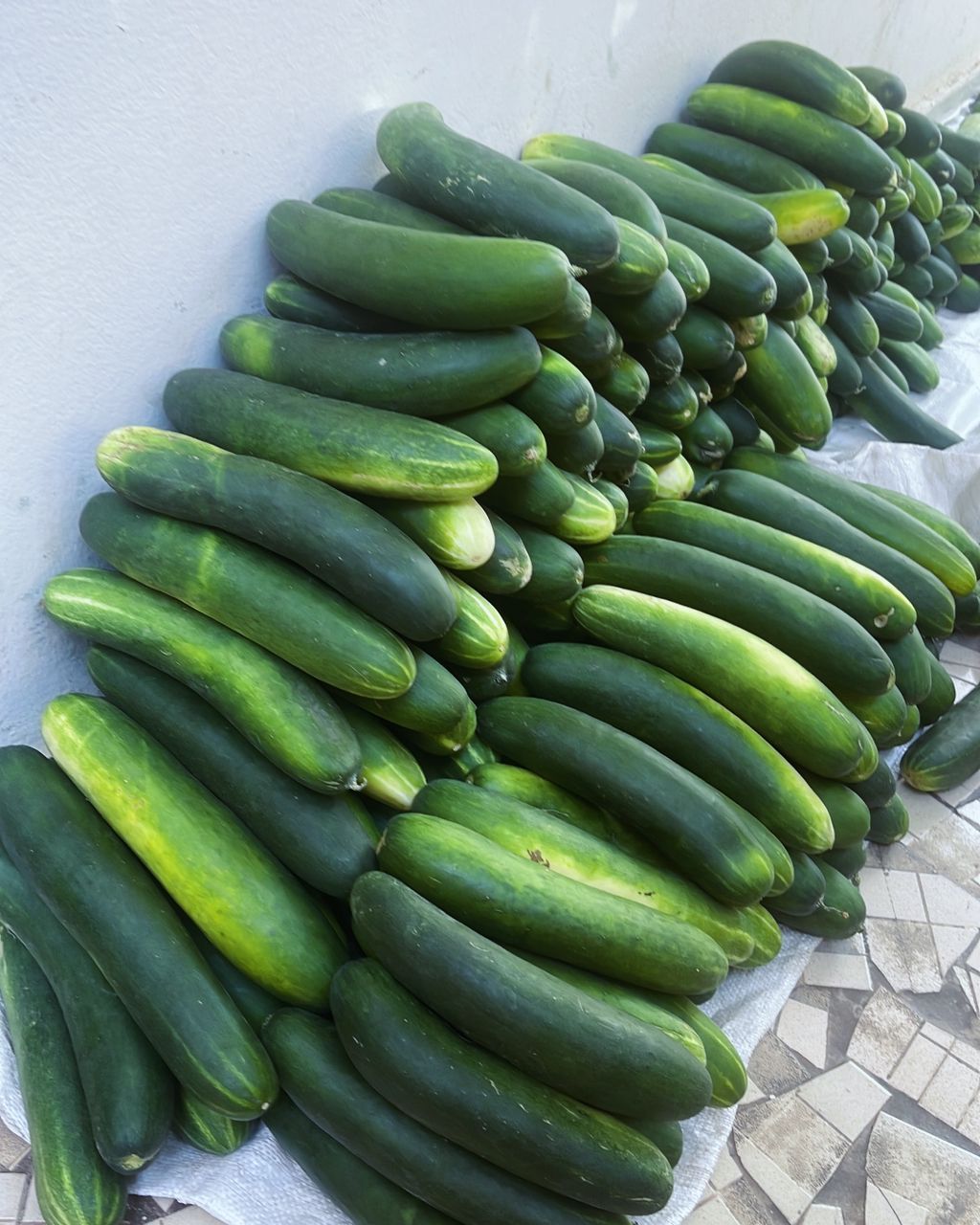 Concombres de très bonnes qualités disponible à 800F /Kg - BayKat