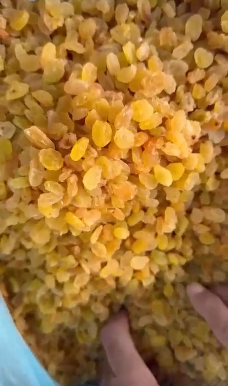 Raisins Secs disponible à 19 000F/Carton de 10Kg - BayKat