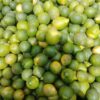 Citrons verts disponibles à 300F/Kg