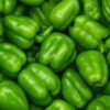 Poivrons verts disponibles à 2 000F/Kg