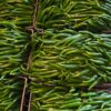 Piment long disponible à 3000F/Kg