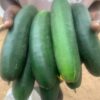 Concombre variété mydas disponibles à 200F/Kg