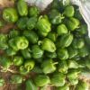 Poivrons verts de meilleurs qualités disponibles à 700F/Kg