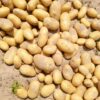 Des sacs de Pommes de terre locaux de 25Kg disponibles à 6000F/Sac