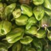 Piment Sofia disponibles à 3500F/Kg