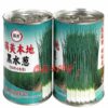 semences d&rsquo;oignons vert disponible à 15000f/pot de 50g