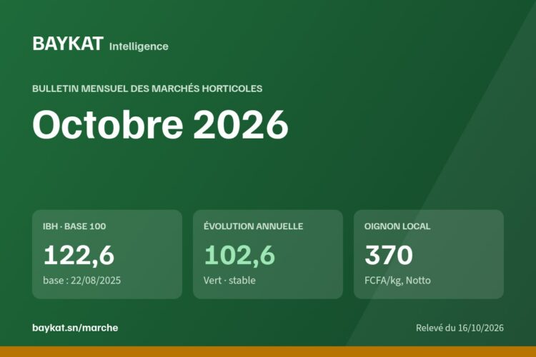 Bulletin BAYKAT des marchés horticoles — Octobre 2026