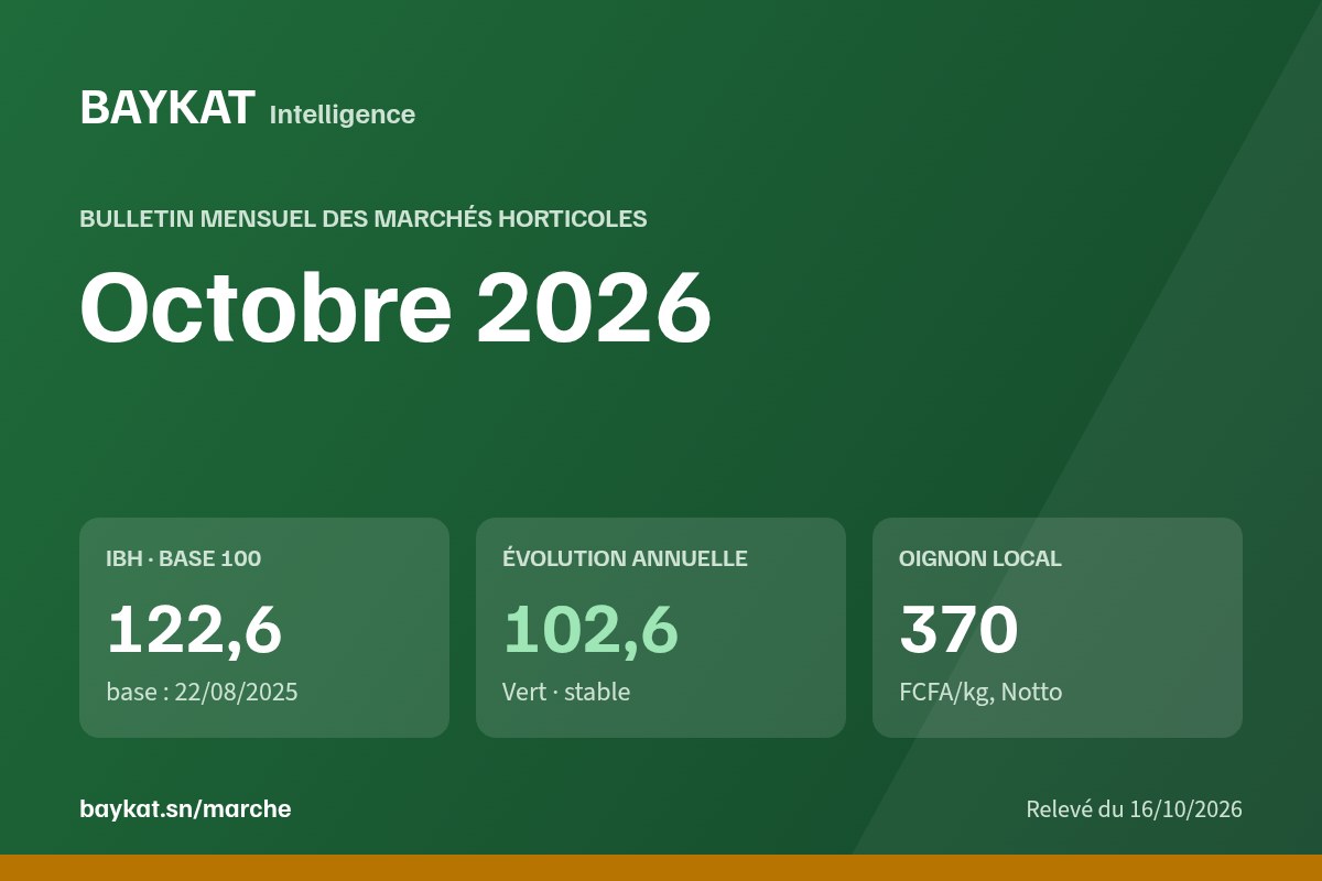 Bulletin BAYKAT des marchés horticoles — Octobre 2026
