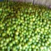 Des Citrons Limtaille disponibles à 600f/kg