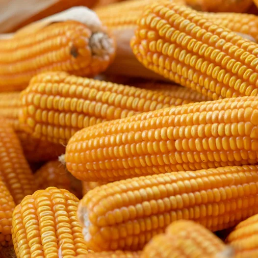 Céréales